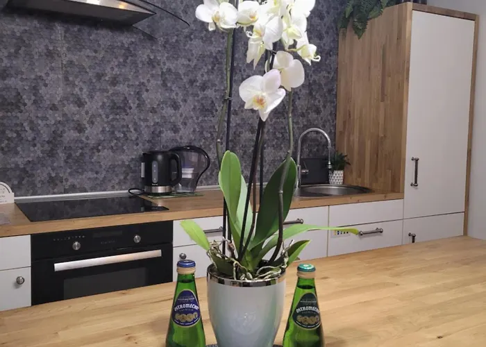 Apartament Pod Orzechem