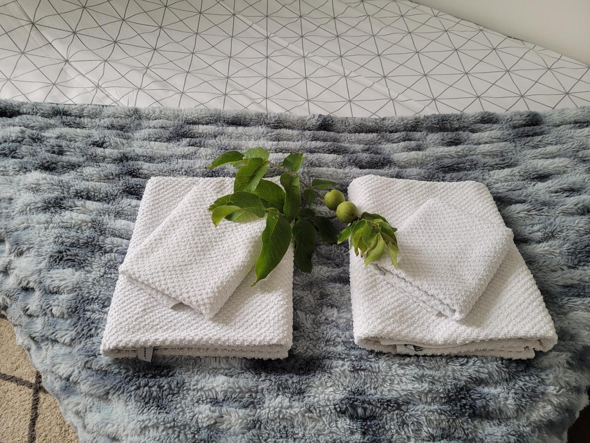 Pod Orzechem Apartment Bydgoszcz