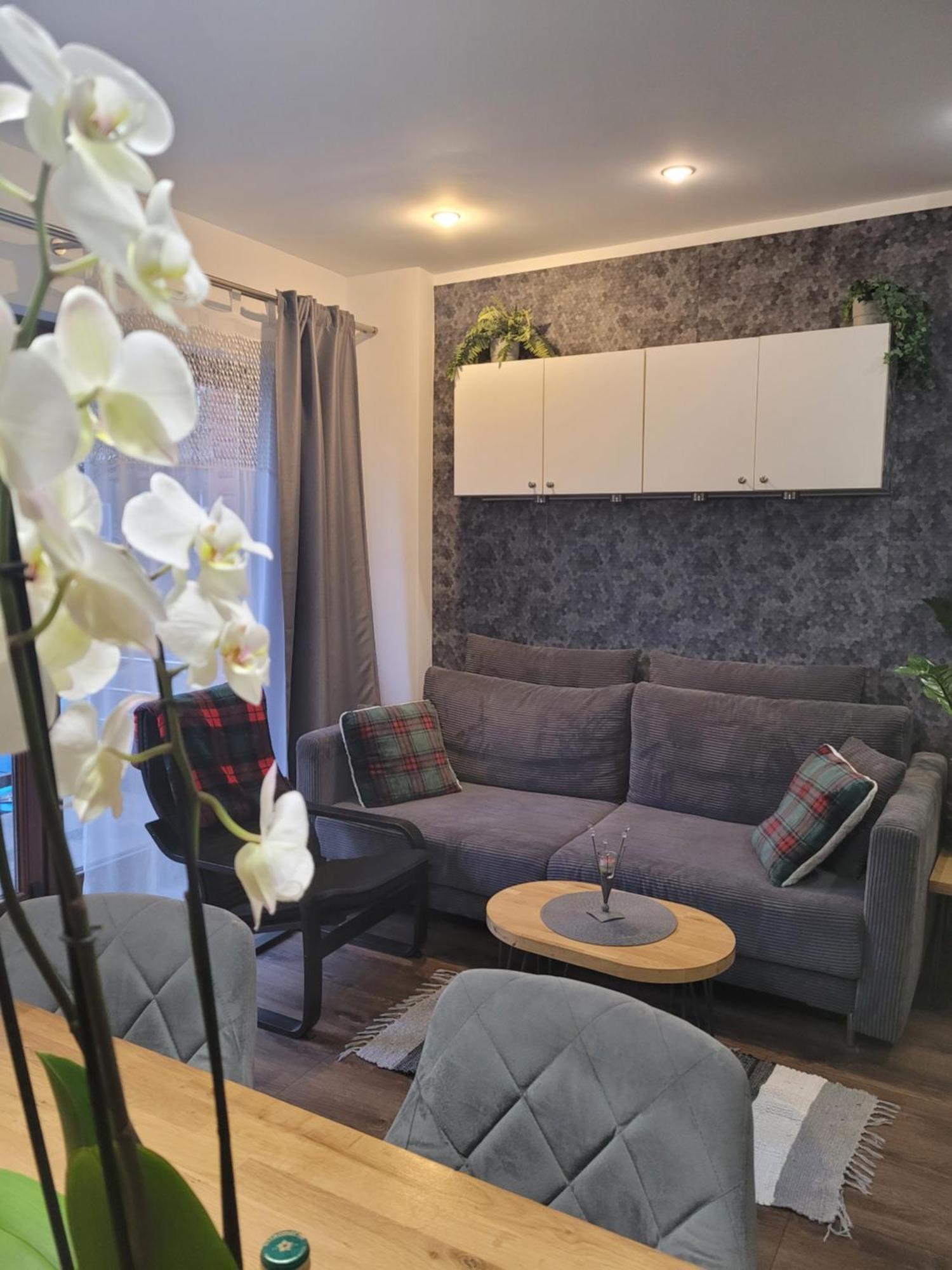 Apartment Pod Orzechem Bromberg